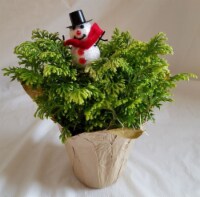 Frosty Fern with Snowman Pick & Holiday Pot Cover