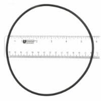 355051273 Swim Quip Generic O-ring