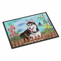 Siberian Husky No.2 Spring Indoor or Outdoor Mat - 24 x 36 in.