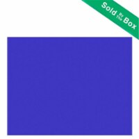 Bazic 22 x 28 in. Fluorescent Blue Poster Board Case of 25