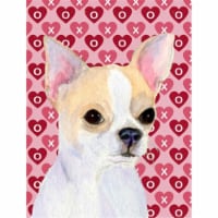 28 x 40 In. Chihuahua Hearts Love And Valentines Day Portrait Flag Canvas, House Size