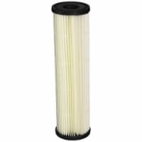 Pleated Cellulose Pentek Whole House Filter Replacement Cartridge