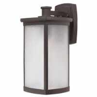 Terrace LED 1-Light Large Outdoor Wall Mount, Bronze