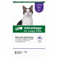 Advantage™ Large Cat Flea Treatment and Prevention Perspective: Main