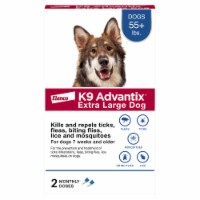 Elanco™ K9 Advantix™ Extra Large Dogs Flea and Tick Treatment Perspective: Main