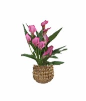 Andy Mast Greenhouses Lilly in Calla Woven Basket Perspective: Main