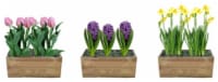Potted Bulbs in Wood Crate - Assorted Perspective: Main