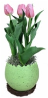 Assorted Bulbs in Ceramic Easter Egg Pot Perspective: Main