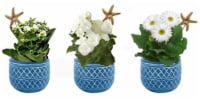 Assorted Blooming Flowers in Seaside Tin Perspective: Main
