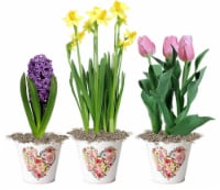 Andy Mast Assorted Flowers In Decorative Tin Perspective: Main