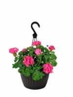 Andy Mast Greenhouses Pink Geranium Hanging Basket (Approximate Delivery is 2-7 Days) Perspective: Main