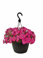 Andy Mast Greenhouses Pink Petunia Hanging Basket (Approximate Delivery is 2-7 Days) Perspective: Main