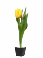 Potted Tulip - Yellow Perspective: Main