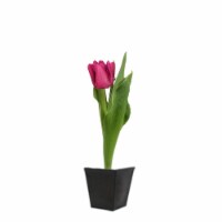 Potted Tulip - Purple Perspective: Main
