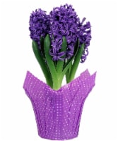Premium Hyacinth Bulbs - Assorted Perspective: Main