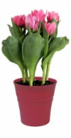 Pink Tulips in 6 inch Pot Perspective: Main