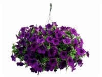 Flowering Hanging Basket - 10 inch