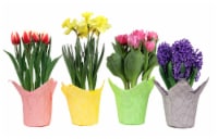 Bulbs in Wrap - Assorted Colors