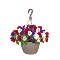 Flower Hanging Basket - 10 inch Perspective: Main