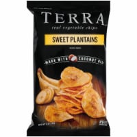 Terra Sweet Plantains Real Vegetable Chips Perspective: Main
