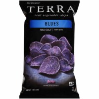 Terra® Blues Sea Salt Real Vegetable Chips