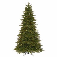 National Tree Company Feel Real Northern Fraser Fir 7.5' Prelit Christmas Tree