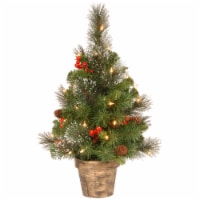 National Tree Company 2 ft Pre-Lit Artificial Mini Christmas Tree, Green, Crestwood Spruce,