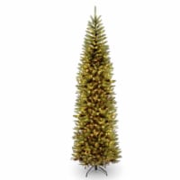 National Tree Company 9ft Pre-Lit Kingswood Artificial Christmas Tree with Stand