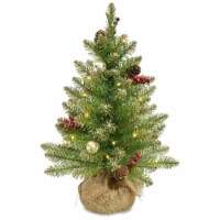 2' Glittery Gold Dunhill Fir Tree in Burlap Base with Red Berries, Cones, Gold Ornaments