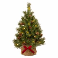 National Tree Company 36 Inch Artificial Pine Cone Christmas Tree w/LED Lights
