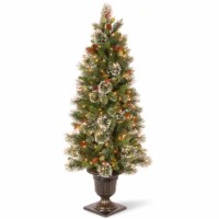 National Tree Company 5 ft. Wintry Pine(R) Entrance Tree with Clear Lights
