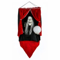 28 Animated Halloween Fortune Teller, Sound Activated