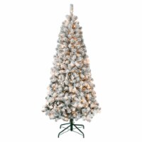 National Tree Company First Traditions Pre-Lit Acacia Flocked Tree Christmas Tree, Clear
