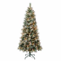 National Tree Company First Traditions Pre-Lit Perry Hard Needle Christmas Tree, Clear