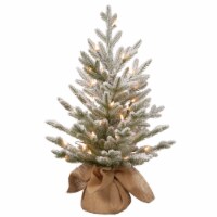 2.5' Pre-lit LED Battery Operated Flocked Cambridge Fir Artificial Christmas Tree White
