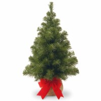 2' Unlit Noble Spruce Artificial Christmas Tree - National Tree Company