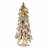 National Tree Company Downswept Forest 2 Ft Prelit Snow Flocked Artificial Tree