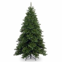 6 1/2' Tiffany Fir Medium Tree