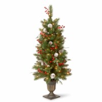 National Tree Company 4 ft. Frosted Pine Berry Entrance Tree with Clear Lights