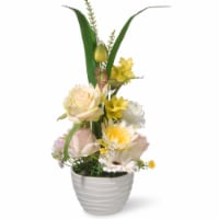 National Tree Company 17 Potted Daisy & Rose Flowers