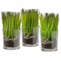 National Tree Company 3-Piece Sprout-Filled Glass Assortment Perspective: Main