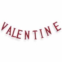 National Tree Company 6ft. VALENTINE Streamer