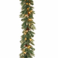 9' Copenhagen Spruce Garland with Flocked Cones & 50 Clear Lights