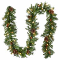 National Tree Company PC-9GLO-1 9 Foot Pine Cones Garland with Clear Lights