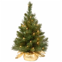 National Tree Company 24 Majestic Fir Tree with Clear Lights Perspective: Main