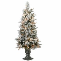 National Tree Company 4 ft. Frosted Colonial Fir Entrance Tree with Clear Lights