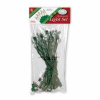 50 Bulb Outdoor Clear Illuminate Light Set- Green Wire-36" Lead Wire-9" Spacing-2 Spare Bulb-