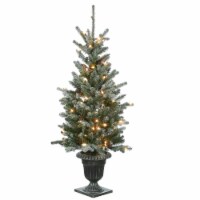 National Tree Company 4 ft. Snowy Morgan Spruce Entrance Tree with Clear Lights