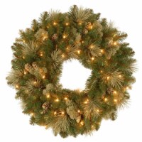 National Tree 251261 24 in. Holiday Wonderland Golden Bristle Artificial Wreath
