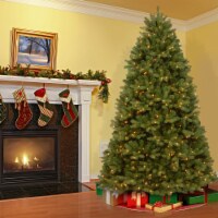 National Tree Company 9 ft. PowerConnect(TM) Newberry® Spruce with Dual Color® LED Lights